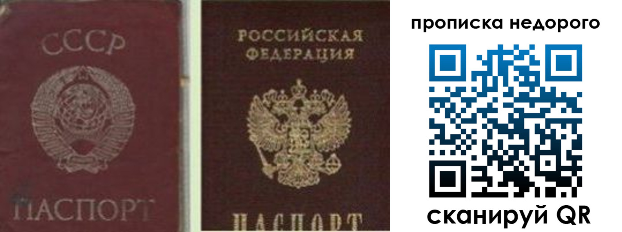 временная регистрация поиск в Райчихинске